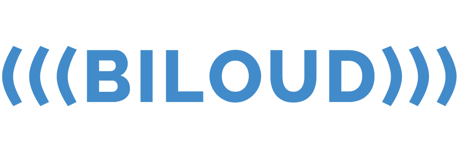 BiLoud SRL